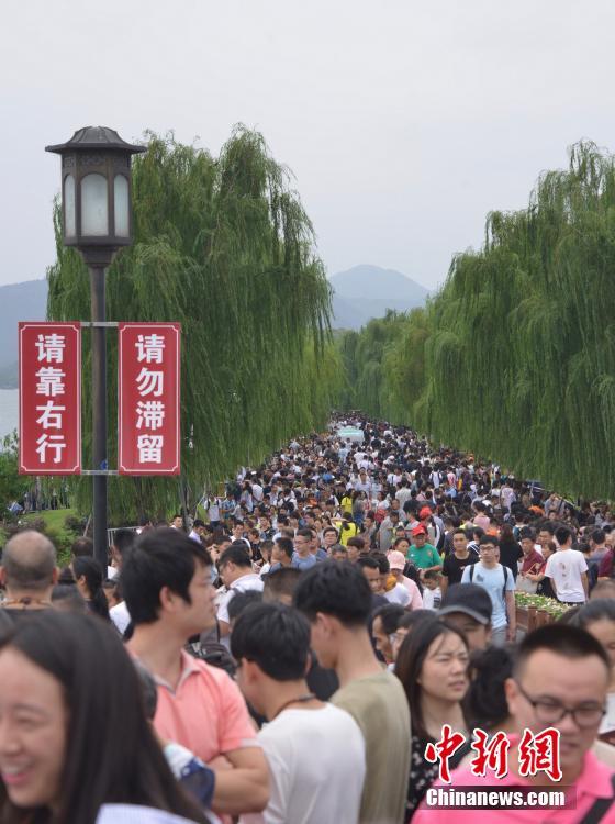 肏屄网站