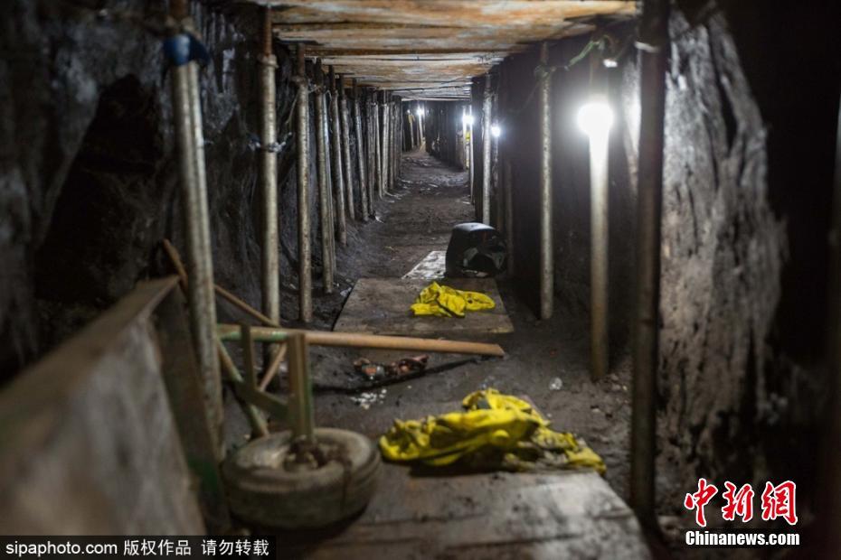 巨睪症