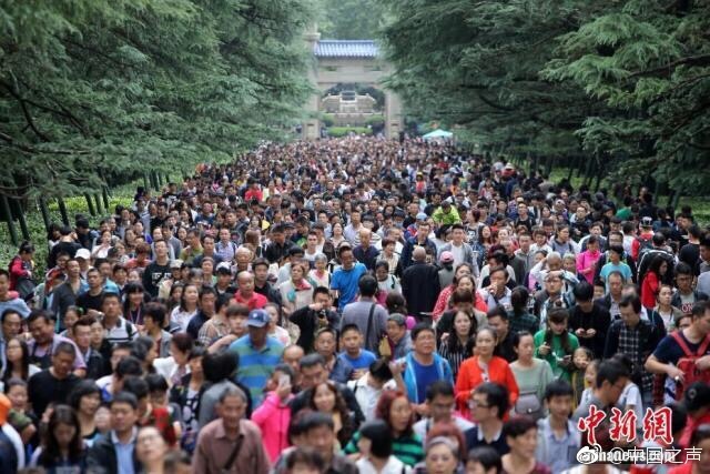 孕妇伦理片大尺度