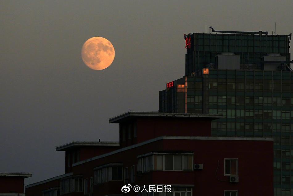 欧美性生活一级片