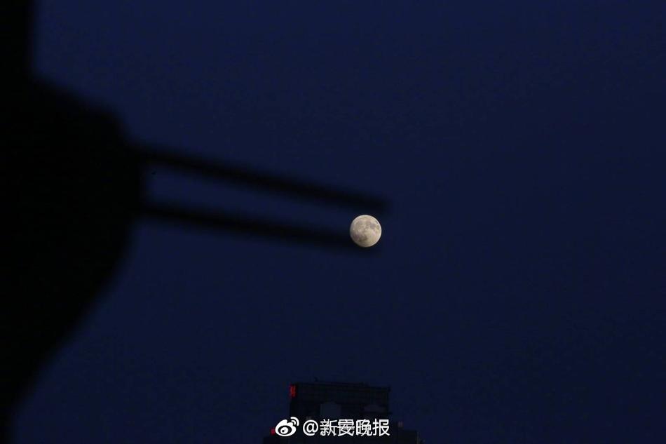 纲手被 脱脱内内