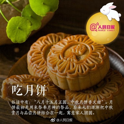 月夜直播视频免费观看大全