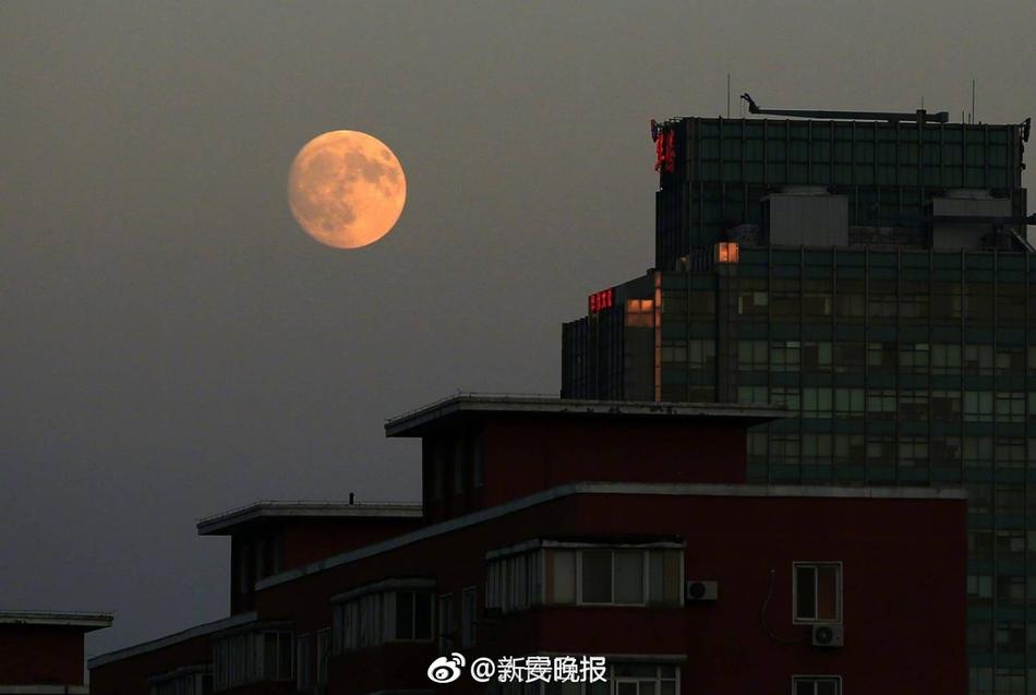 欧美又粗又长