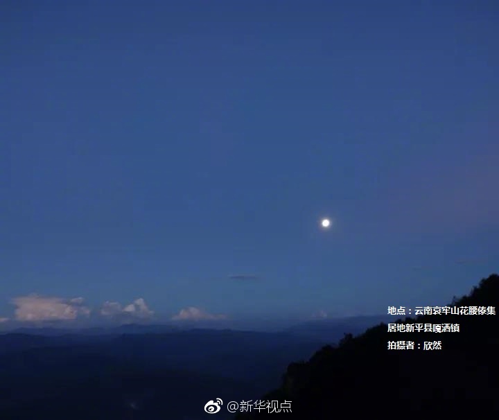 韓國明星