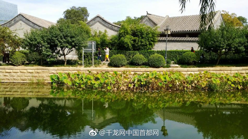 张柏芝手扒性器全照