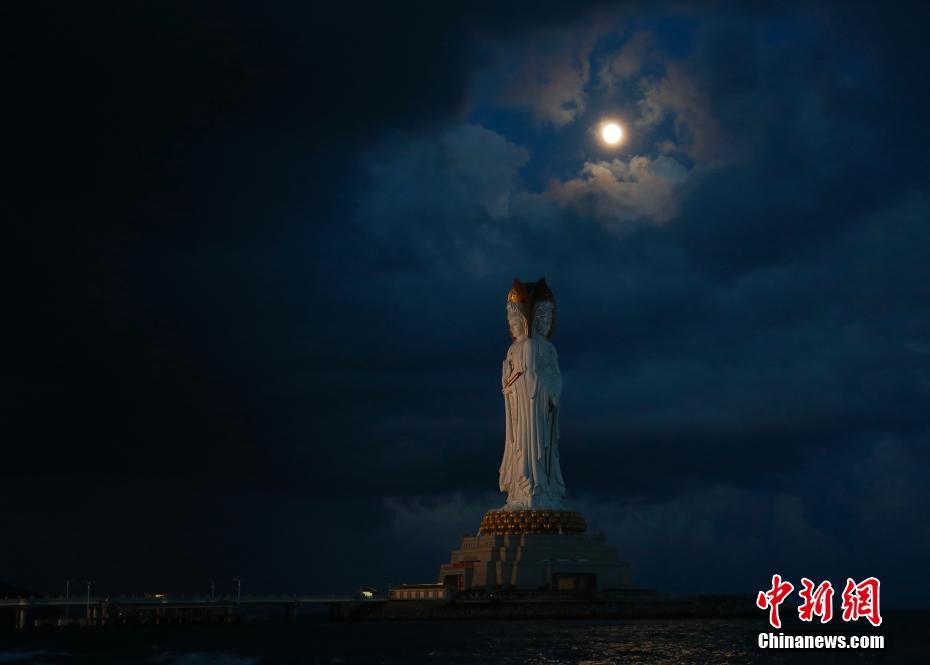 请问黄色视频怎么下载