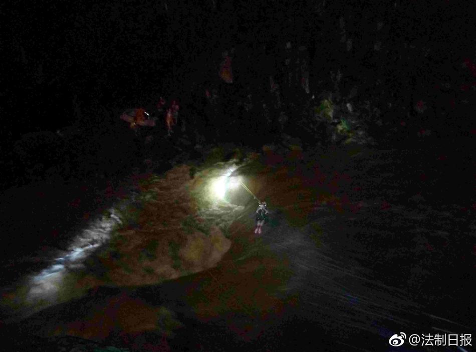 欧美一级人与嘼免费播放