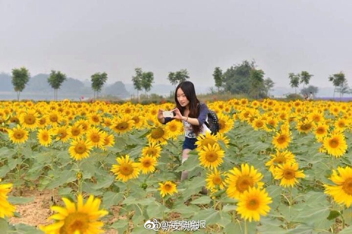 国产偷拍教室做爱