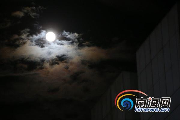 台灣男星