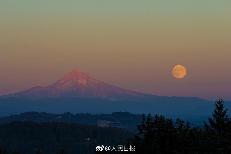 黄色片天天视频