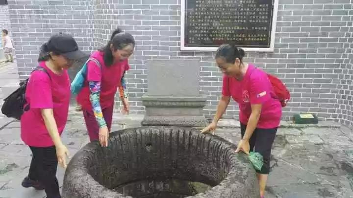 张柏芝黑森林毛又粗又长