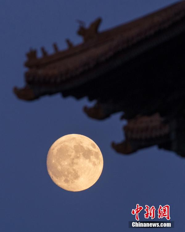 精品夫妻国产
