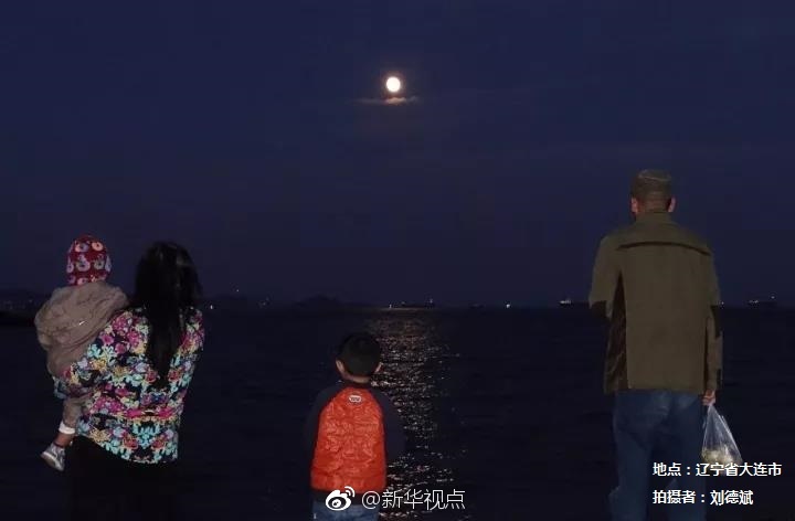 小倉優子
