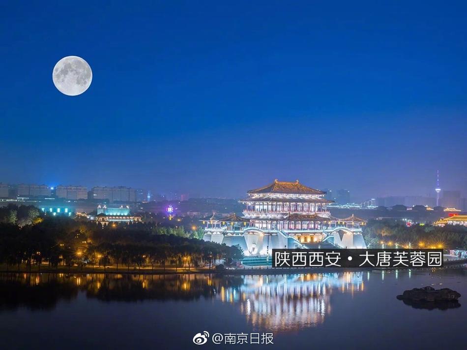 情熱大陸