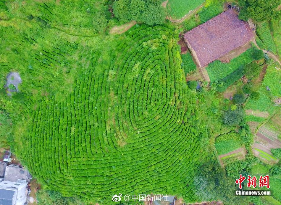 国产在线绿帽社