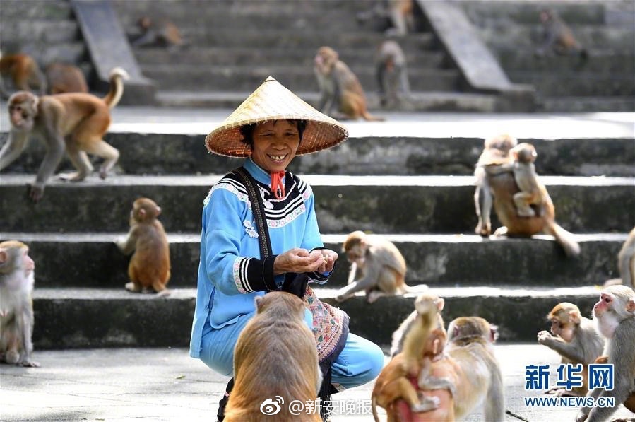 黄色网站无打码
