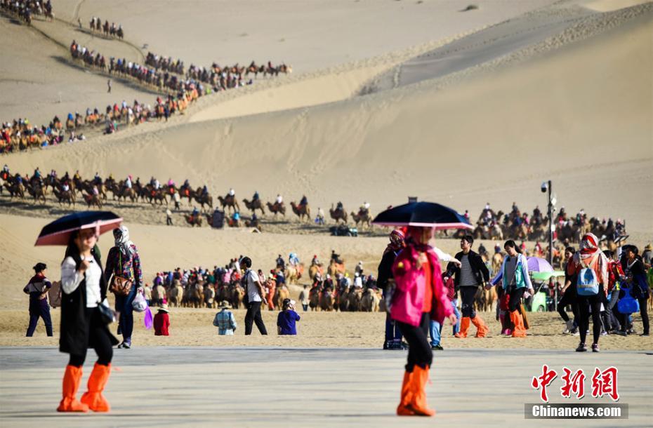 美国美女A大片又黄又免费