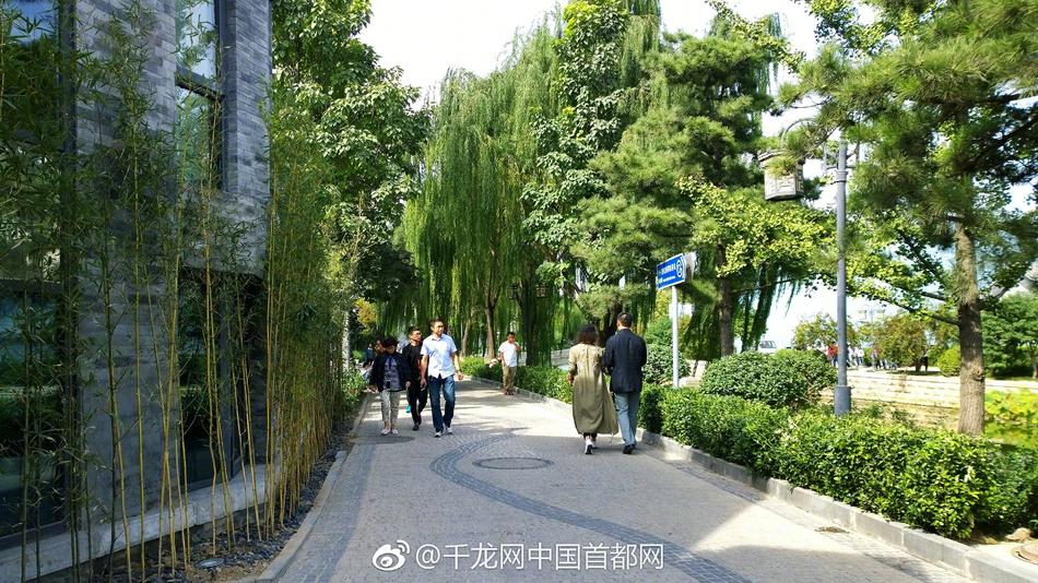 家庭伦理色情