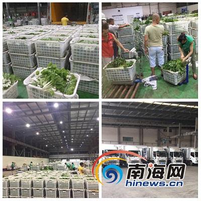 国精产品一区一区三区有限公司杨