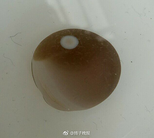 中国产    HD