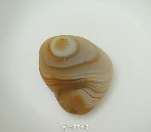成 人 黄 色 性 爱 小 说