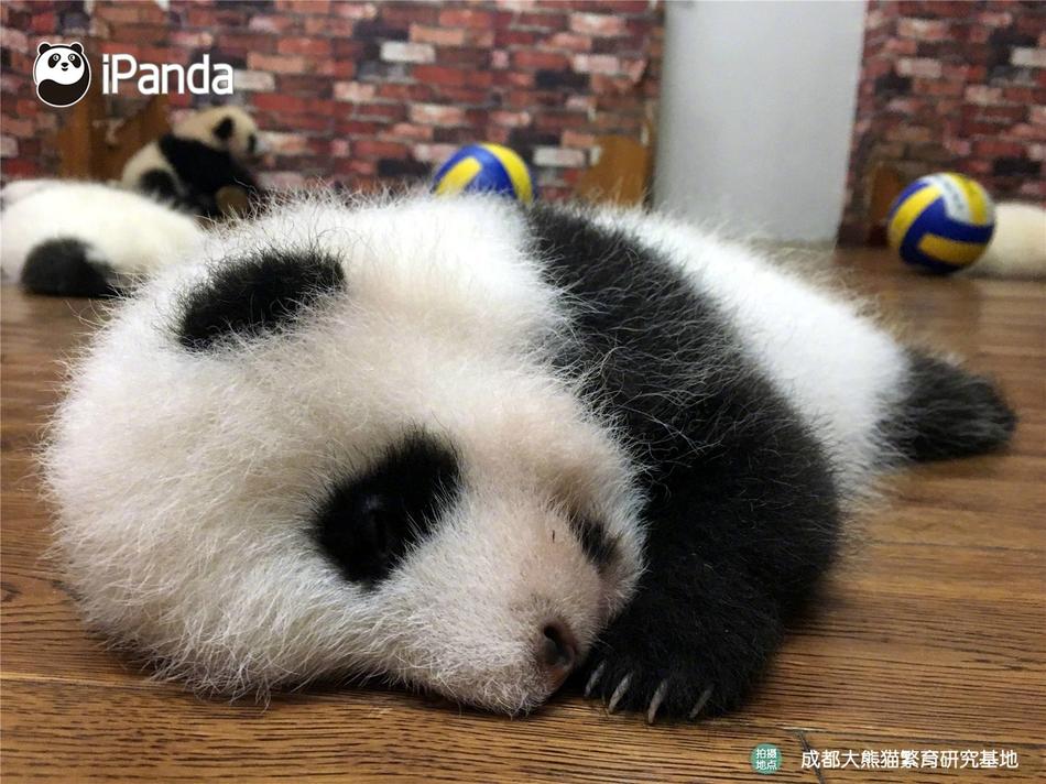 午夜精品秘 一区二区三区城中村