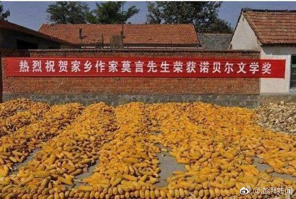 国产又大又粗