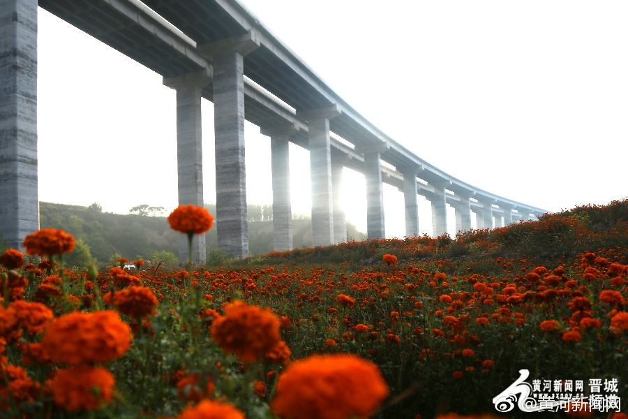 涵涵