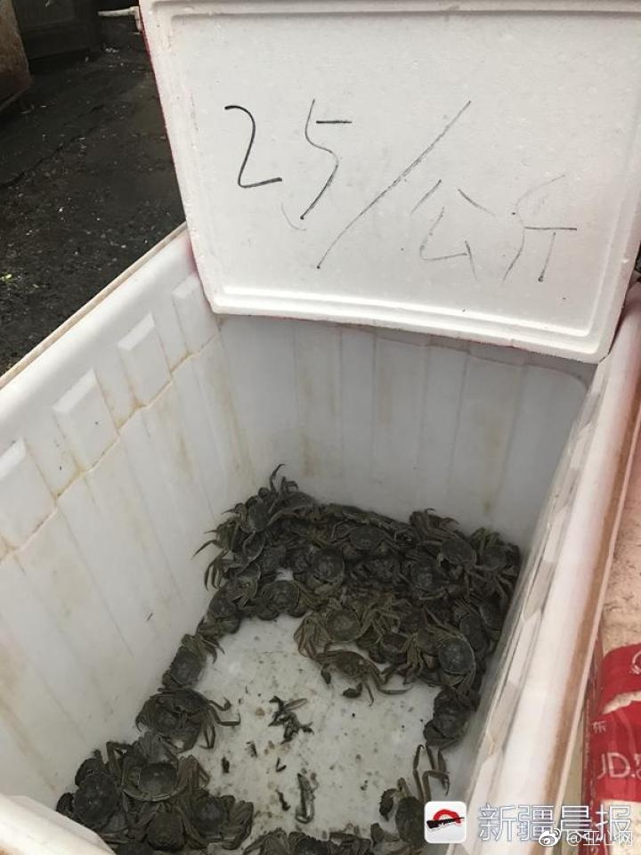 日本性生活黄色网站
