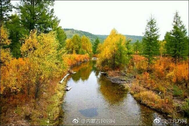 震動棒高潮