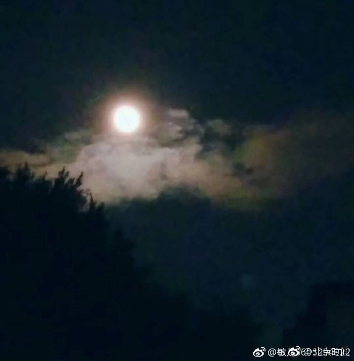 xl司令第二季无马赛更新时间