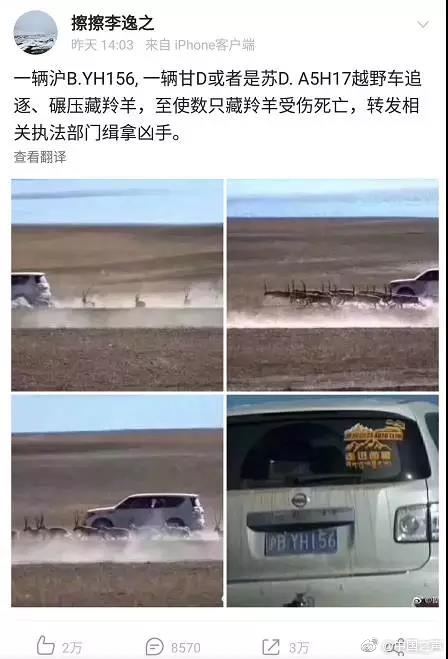 韩国三?理伦片