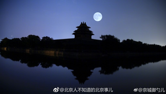中文有码