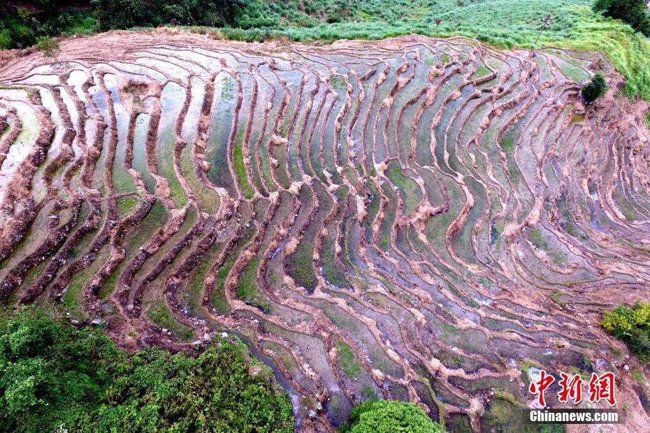 波多野结衣Av无码