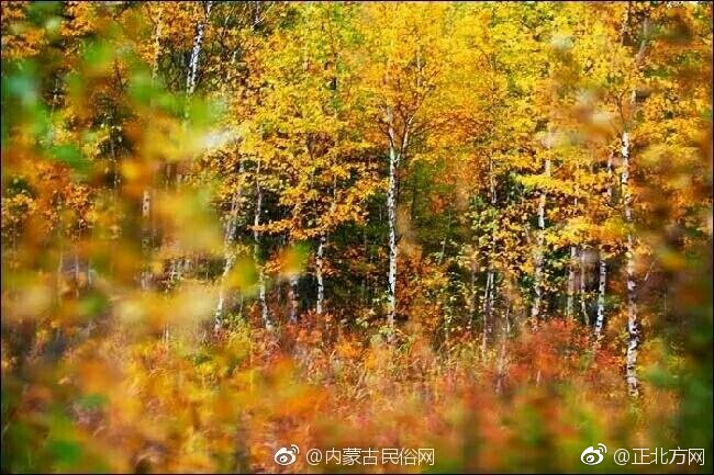 亚洲激情在线