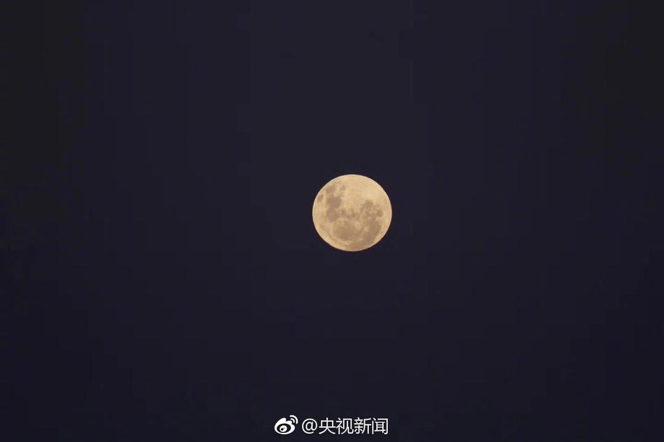 蓮實克蕾雅