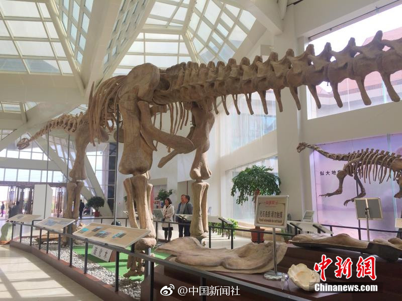 李丽珍Av毛片