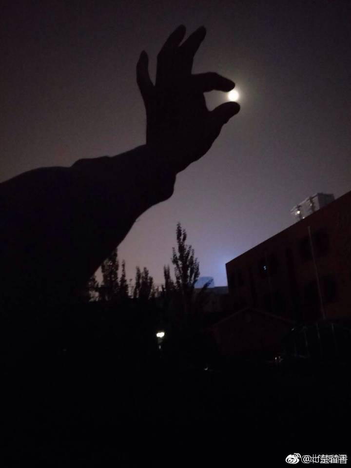 欧美一级色片