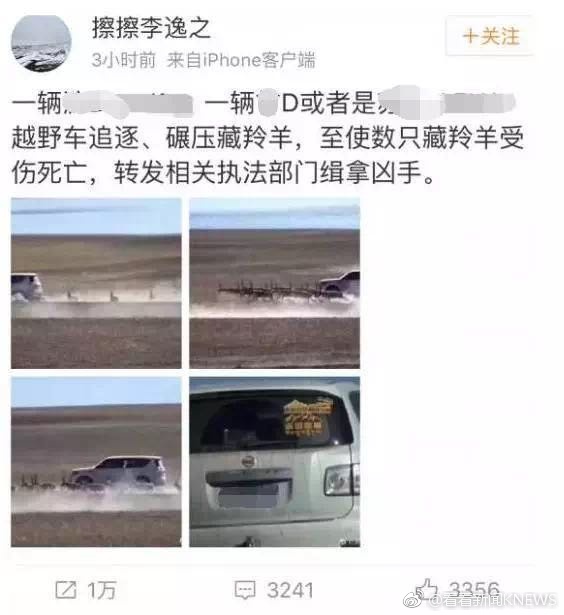 看黄色网站操胖逼逼