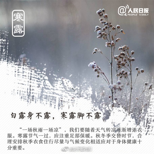 很黄很黄的视频