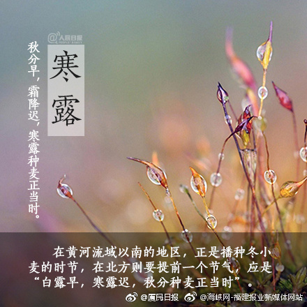 国产夫妻操逼