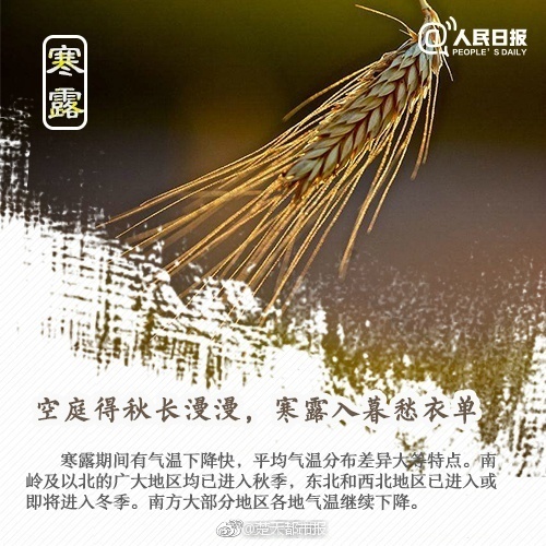 免费 成人 图片