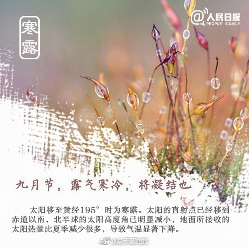韩国特黄A级毛片