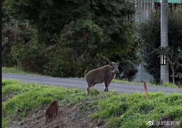 無碼自拍