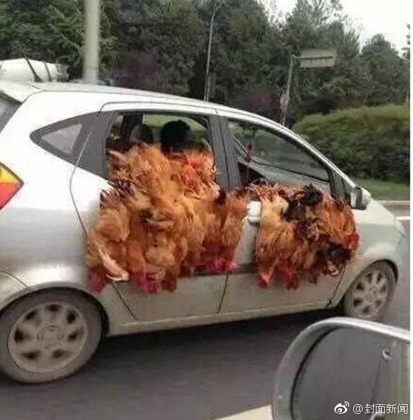 午夜精品久久久久久久