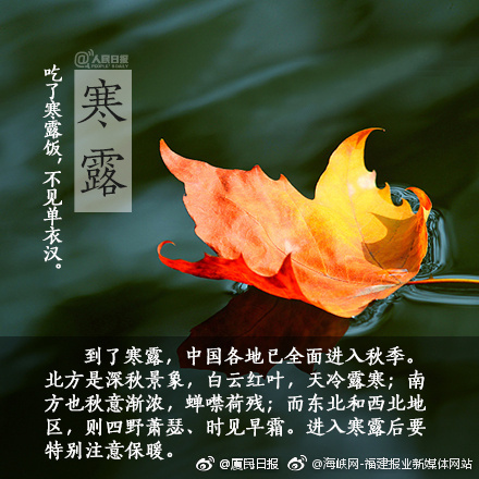 国产x9x9x9x9x9x任意槽