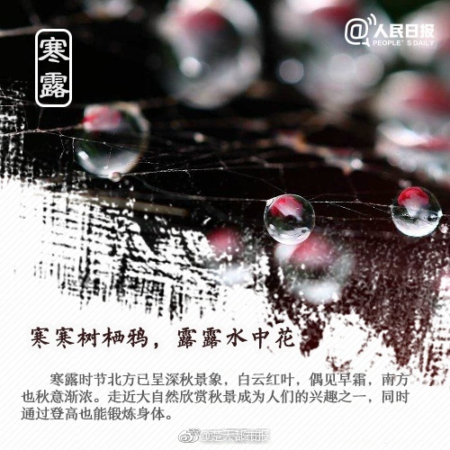 免费 成人 图片
