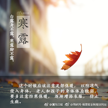 电车之狼游戏