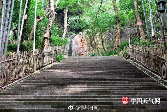 爸爸叫小新cOd妈妈
