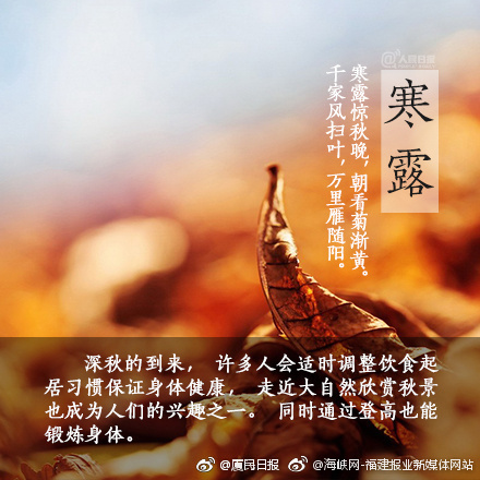 网 红 色情 影片